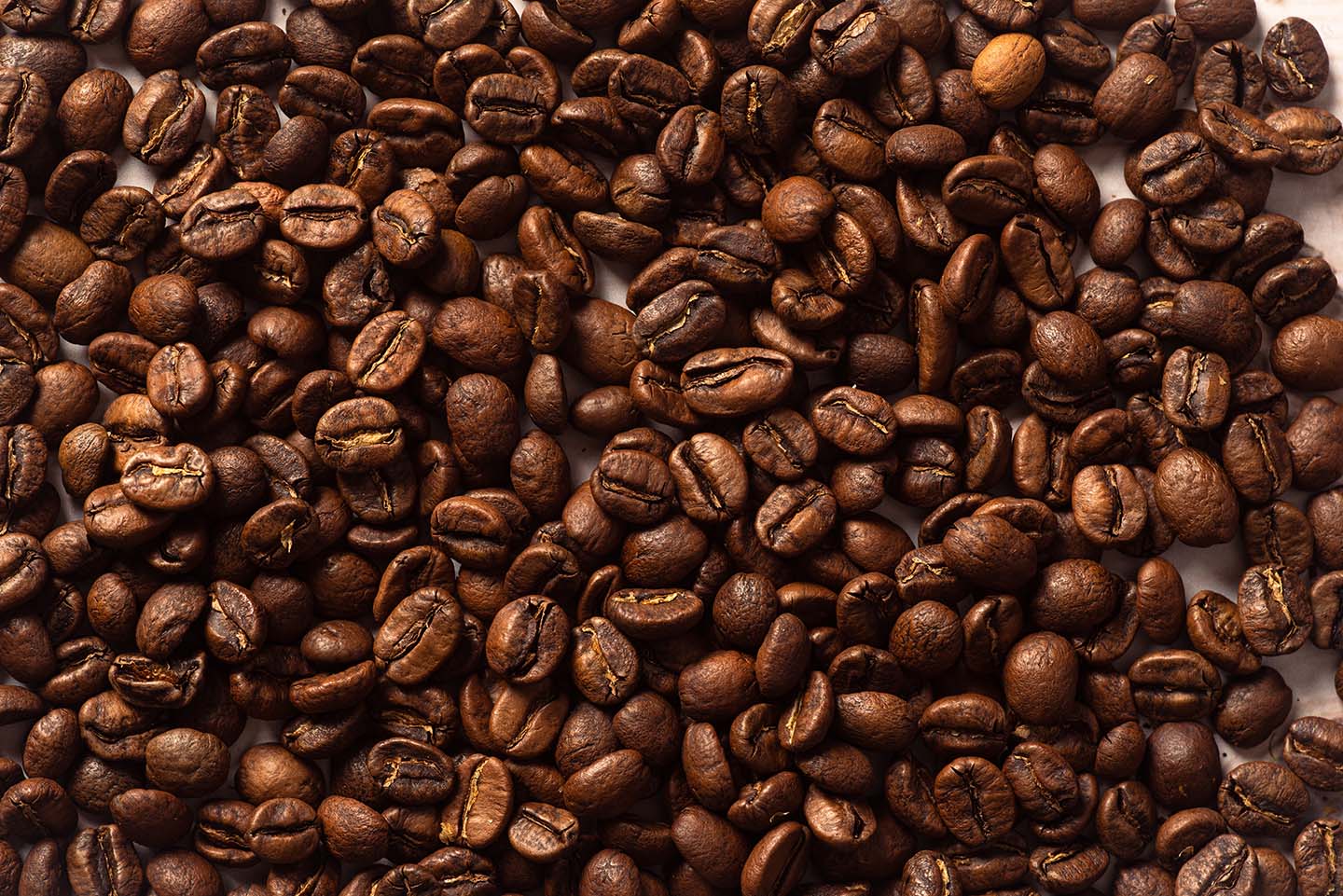 Roasted Lardera catuai honey coffee beans