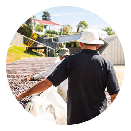 Costa Rica Herbazu Kenya Washed Coffee