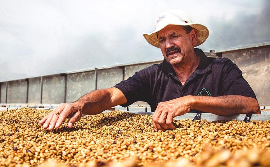 coffee farmers