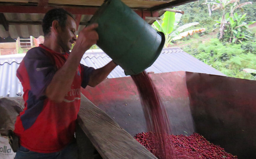 coffee farmers