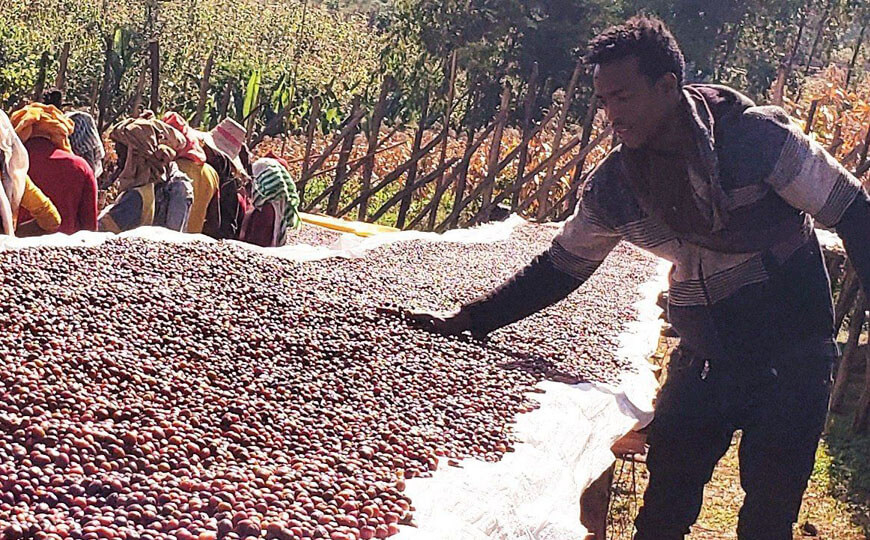 coffee farmers