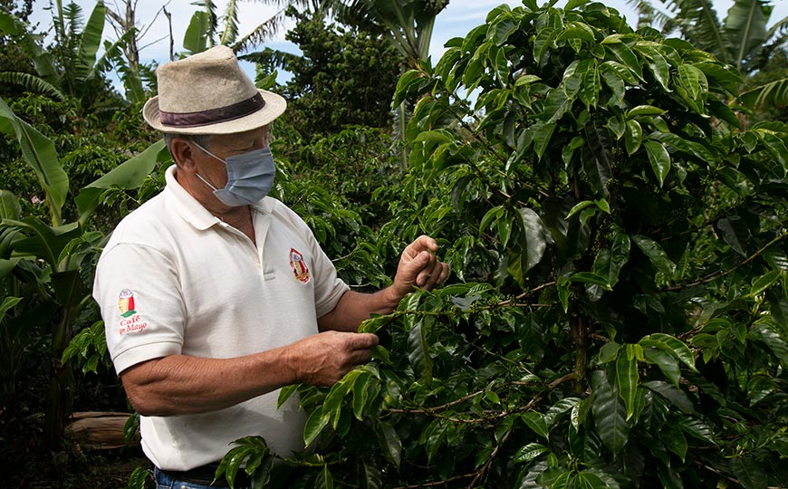 coffee farmers