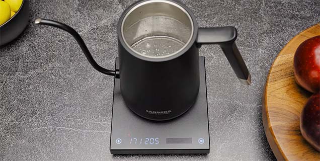 Lardera TIMEMORE Gooseneck Smart Electric Coffee Kettle 30oz